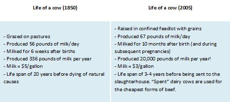 Breast Milk Lifespan Chart